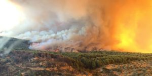 IRIS: Το μοντέλο πρόγνωσης στην μάχη των δασικών πυρκαγιών