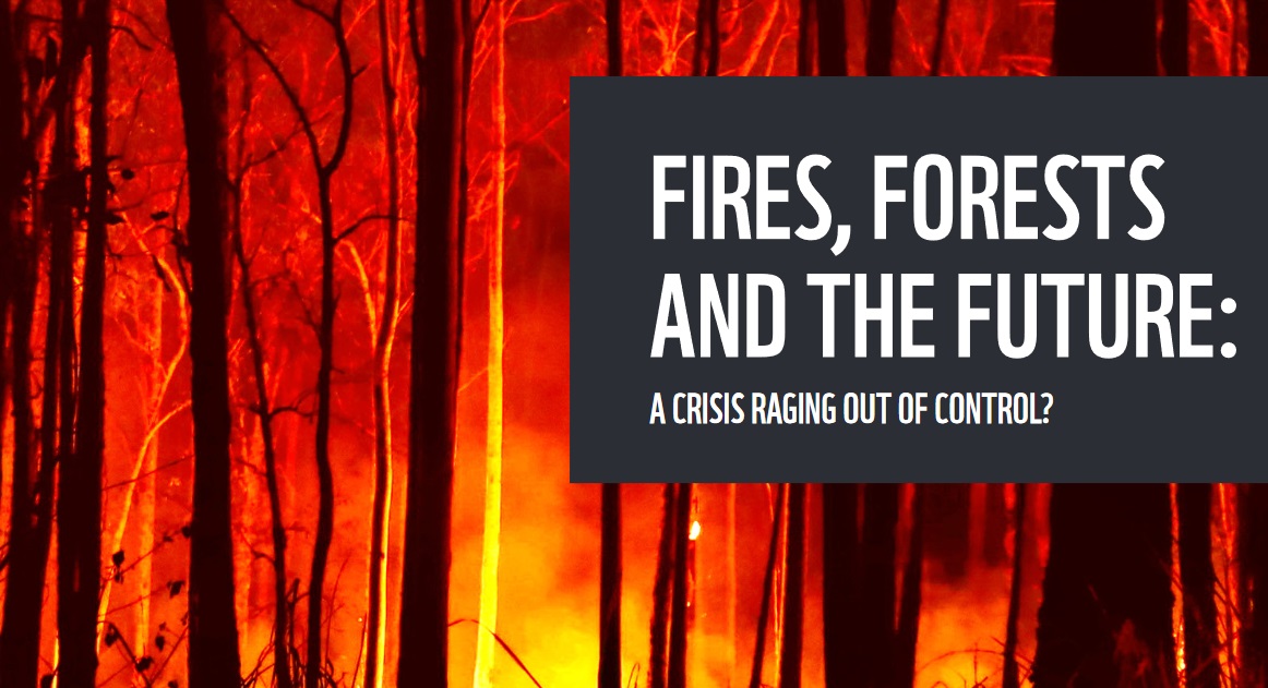 Read more about the article WWF: Φωτιές, δάση και το μέλλον: μια διαρκής εκτός ελέγχου κρίση;