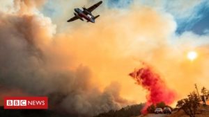 Read more about the article Καλιφόρνια: Τουλάχιστον τρεις άνθρωποι έχουν χάσει τη ζωή τους από τις πυρκαγιές που μαίνονται