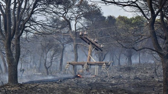 Read more about the article Ευθύμης Λέκκας: Τεράστιες οι επιπτώσεις από την πυρκαγιά στο Σχίνο