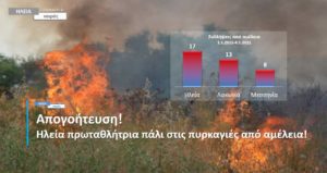 Ηλεία- Δασικές Πυρκαγιές: Αποκαρδιωτικά στοιχεία